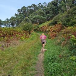 Auf dem Jakobs-Pilgerweg