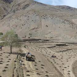 Pin Vally Felder Düngung