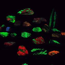 Niektóre świecą w UV