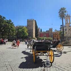 View toward the Alcazar.
