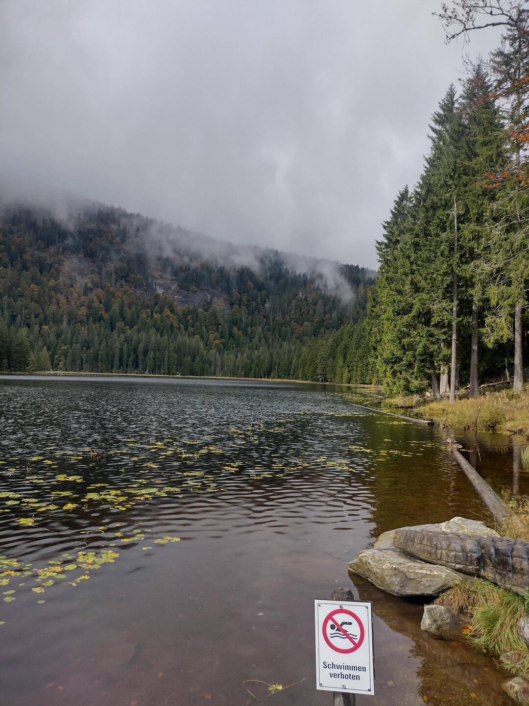 Großer Arbersee