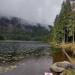 Großer Arbersee