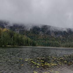 Die Wolken hängen tief am Arbersee