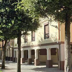 Lovely green areas in the town Plaza