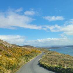 On our way down, passed walkers, cyclists and oncoming traffic. The blind corners, wow.