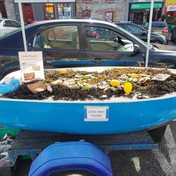 Fresh local oysters in the town square.