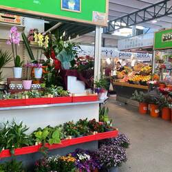 Love the colours in markets