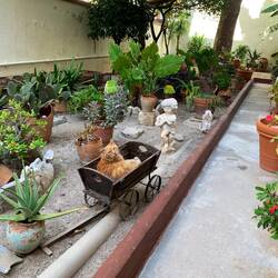 Sie fühlt sich wohl