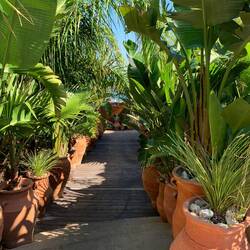 Schön gestalteter Abgang zum Strand