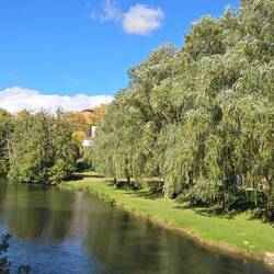 View from the footbridge of the river Carrión which flows through the village