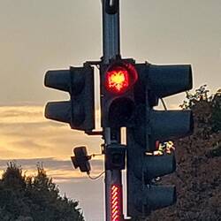 Albanischer Adler in rot und grün