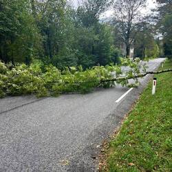 Road closed. But not for bikes. Chris in our group was first on the sceen.