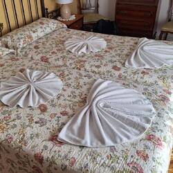 You even get shells on your bed.