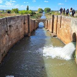Maybe it was a loch once, but doesn't look like one anymore.