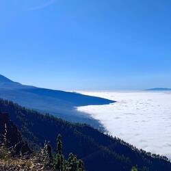 Wahrhaftig ein "Wolkenmeer"