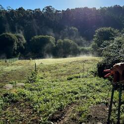 Steam rising from the fields as the sun came up.