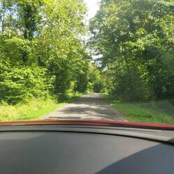 Lovely little lane