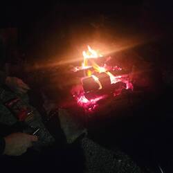 Chamallows grillés 🤤