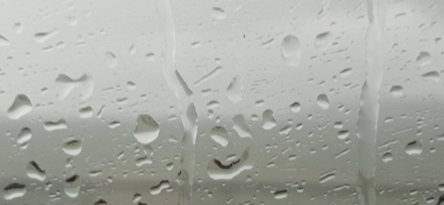 Der Bodensee durch ein Zugfenster gesehen.