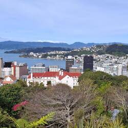 Wellington und die Bucht Lambton Harbour