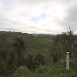 die Straße von Tongariro nach Whanganui