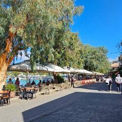 Waterfront dining in Vasiliki