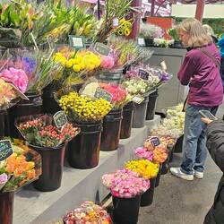 Flowers. Australian flowers are so rugged they feel like plastic, but they're real..