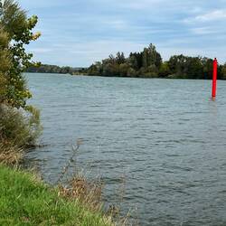 The Saône