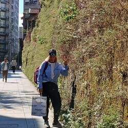 Huge wall/retaining wall covered with natural greenery. Des is throwing the AZ Sun Devils hand sign.