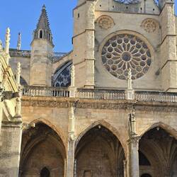 The cathedral cloisters is a serene and quiet space in the middle of the bustling city
