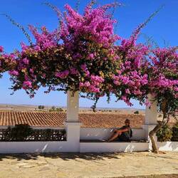 Ein schöner Schattenplatz hinter der Kirche