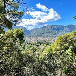 Sóller