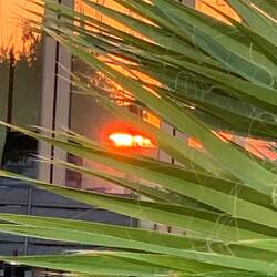 Heute ist frühes Ablegen angesagt