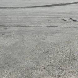 Begegnung Kelani mit Strassenhund