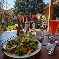 Typica Café. What a lovely place 🌿🍉