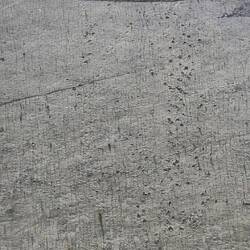 Dino footprints 👣