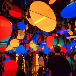 Yayoi Kusama: Infinite Love