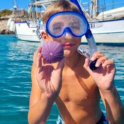 Dans l'eau les enfants decouvrent de nombreux Test ( coquille ) d’oursin de toutes les couleurs