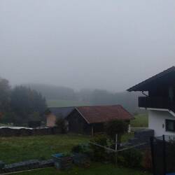 Guten Morgen vom Balkon