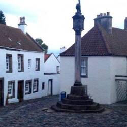 Meerkat in Culross