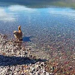 Auch Candy hat Spaß am kühlen Nass