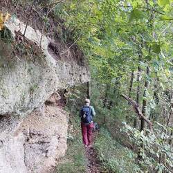 Schöner Pfad hinunter ins Tal der Salzach!