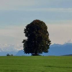 Die Alpen müssen bis zum Frühjahr auf uns warten!