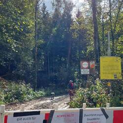 Unser Ungehorsam sollte sich rächen!