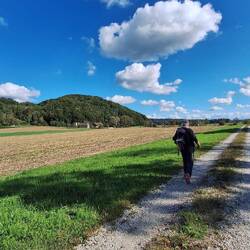 Auf dem Weg zur Salzachbrücke!