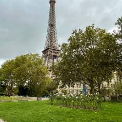 First view of the Eiffel Tower