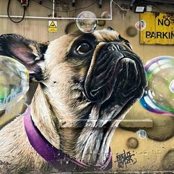 Some final street art we discovered on our final day