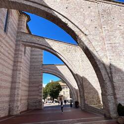 Huge buttresses of the St Francis cathedral