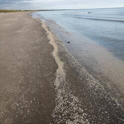 Strandspaziergang