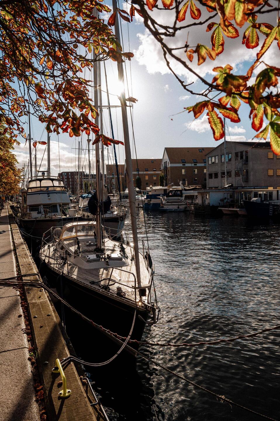 Herbststimmung in Kopenhagen 🍁